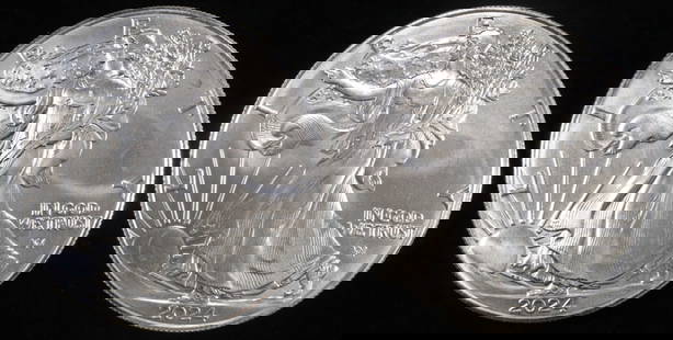 (2) 2024 AMERICAN SILVER EAGLES: BID WITH SILVER CITY AUCTIONS ESTIMATE $140 - $190.
