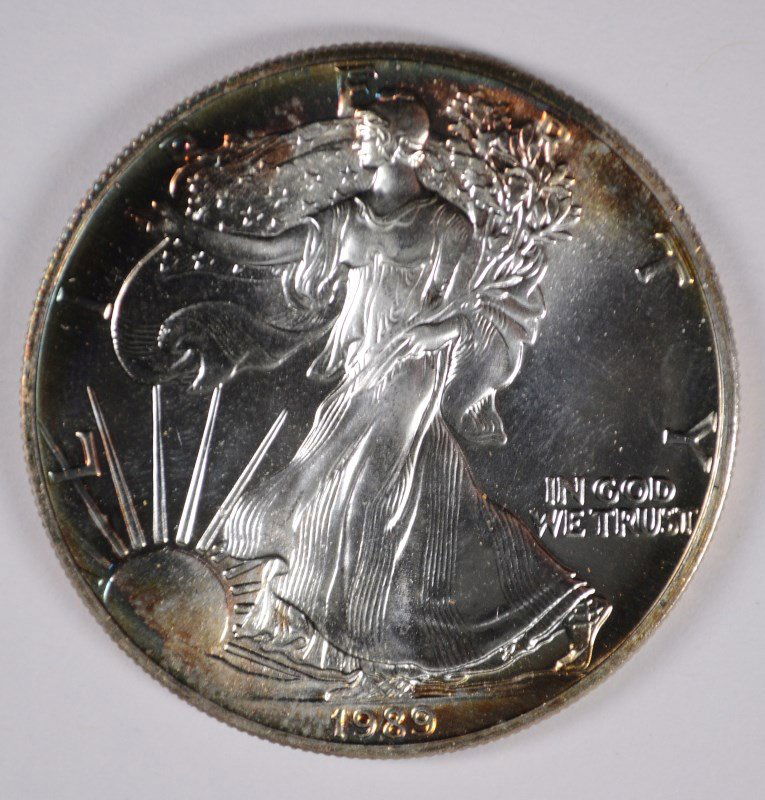 1989 SILVER AMERICAN EAGLE (1 of 2)