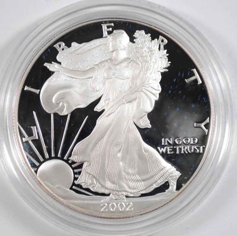 2002 PROOF AMERICAN SILVER EAGLE IN NICE ORIGINAL (1 of 4)