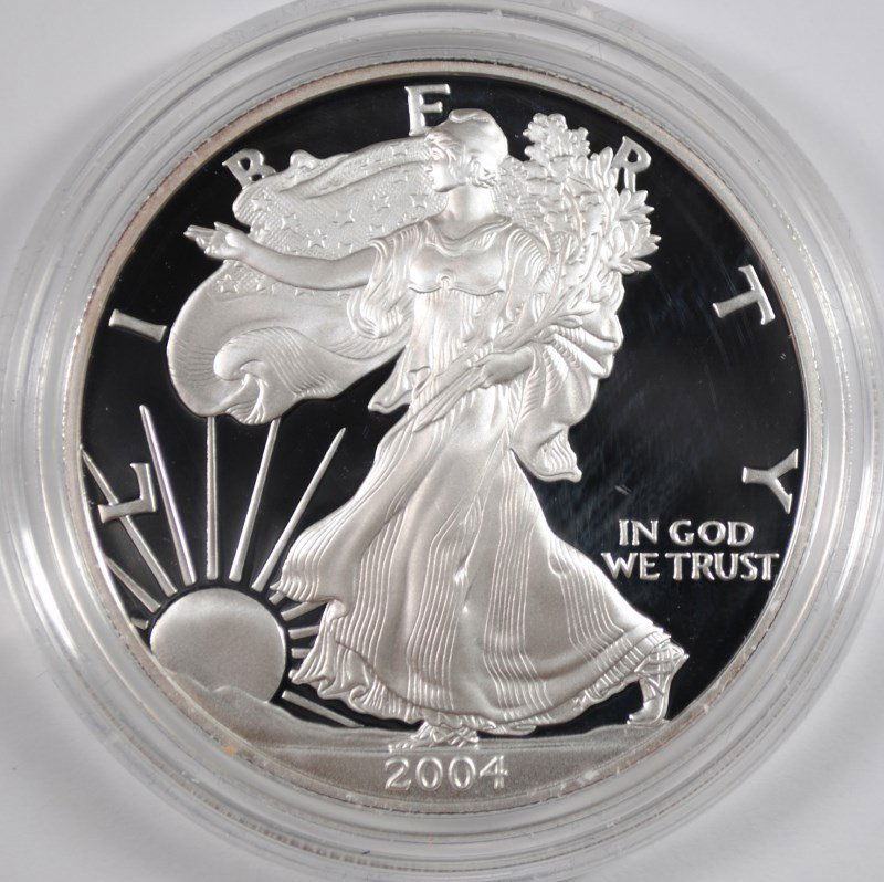 2004 PROOF AMERICAN SILVER EAGLE IN NICE ORIGINAL (1 of 4)