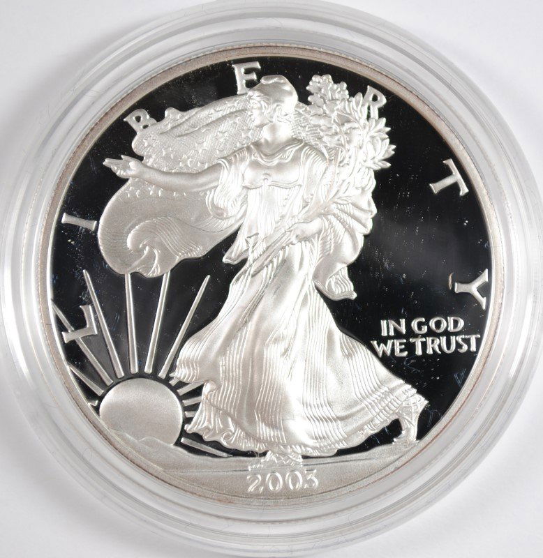 2003 PROOF AMERICAN SILVER EAGLE IN NICE ORIGINAL (1 of 4)