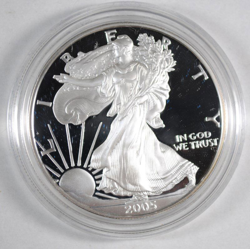 2005 PROOF AMERICAN SILVER EAGLE IN NICE ORIGINAL (1 of 4)