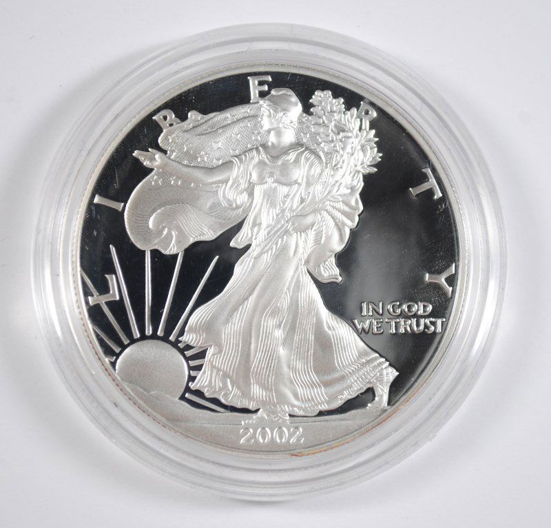 2002 PROOF AMERICAN SILVER EAGLE IN NICE ORIGINAL (1 of 5)