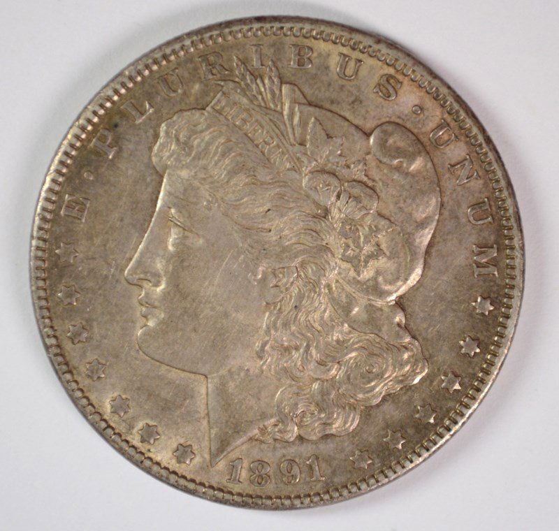1891-CC MORGAN DOLLAR CHOICE BU TONED KEY COIN (1 of 2)