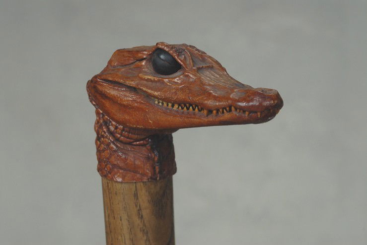A real, dried baby alligator cane: A real, dried baby alligator cane. The handle measures 2" high and 4" to the side. It is an actual baby alligator that has been dried and varnished in a tan tone. The eyes are ebony balls with one eye