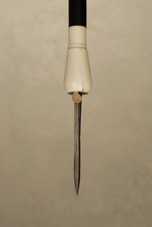 A very nice ivory flick stick curio: A very nice ivory flick stick curio. The elephant ivory knob handle is 2 1/3" high and 3/4" across the top where there is a round brass fitting with a hinged flap at its center. When the cane is sharp