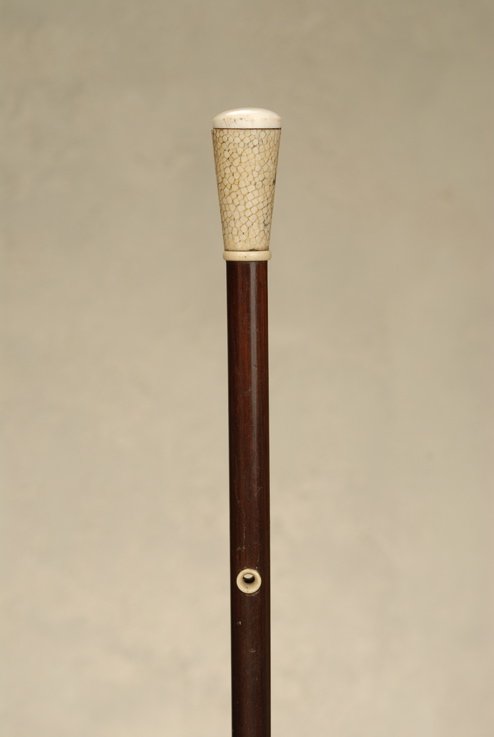 A very nice decorative shagreen cane: A very nice decorative shagreen cane. The gray shagreen handle, fashioned from the skin of certain ray fish, is 2 1/8" high and 1" in diameter. It is capped with ivory at each end. The shaft is dark e