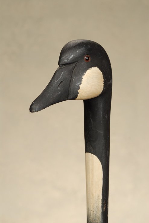 A black and white Canada goose cane: A black and white Canada goose cane. Made of one piece of hand-fashioned wood, it has a big handle that is 2 1/2" high and 4 1/2" to the side. It depicts the head of a Canada goose with large amber gl