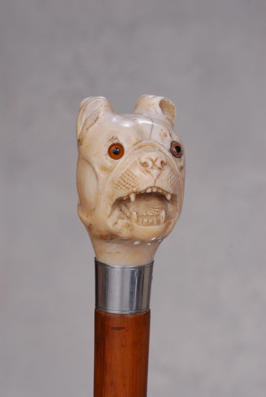 A very fine cane of a mastiff: A very fine cane of a mastiff. The ivory handle is 2 3/4" high and 2" at its widest. It depicts the nicely fashioned head of an English mastiff with short floppy ears, amber glass eyes, and mouth agap