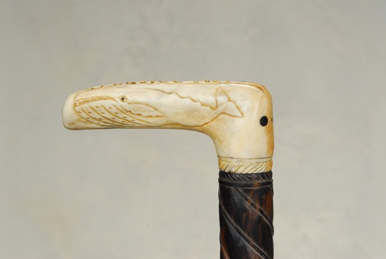 A great nautical cane with whale carving: A great nautical cane with whale carving. The bone handle, perhaps polished staghorn, is 1 3/4" high and 4" to the side. On the top, "Capt I Hales" is carved in raised block letters inside a ribbon. T