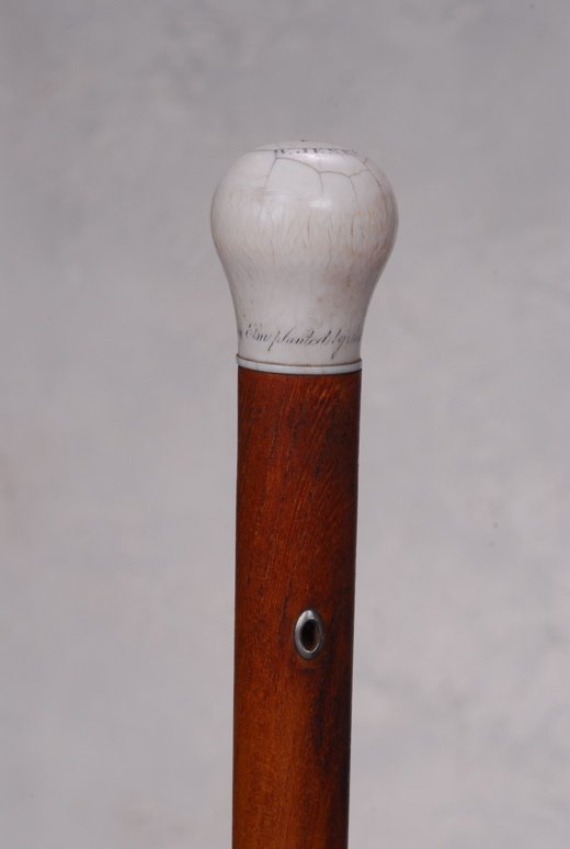 An ivory relic and presentation cane to W. Jenks: A great ivory relic and presentation cane to W. Jenks. The ivory knob handle is 1 1/2" high and 1 1/4" at its widest. It is inscribed on the top: "C.S. to W. Jenks" and near the base: "From an elm pla