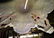 Signed Rembrandt Floor Lamp - 3