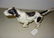 Large Cast Iron Irish Setter Door Stop