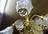 6 Arm Brass Victorian Gas & Electric Fixture - 2