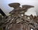 Rare Black Forest Clock - 3