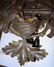 Rare Black Forest Clock - 5
