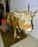 Bourden's Elsie the Cow - 2