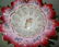 Enameled Victorian Bride's Basket on Stand - 2