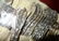 60 Pcs. Set of Grape Pattern Silverplate Dinnerware - 2