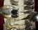 60 Pcs. Set of Grape Pattern Silverplate Dinnerware - 3