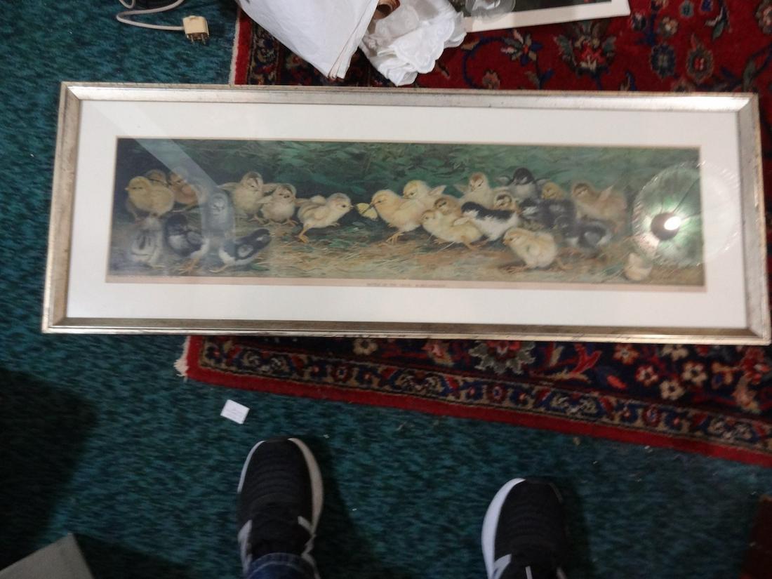 1902 Yard long "Battle of the chicks": Signed Ben Hustrian; 42" by 15"