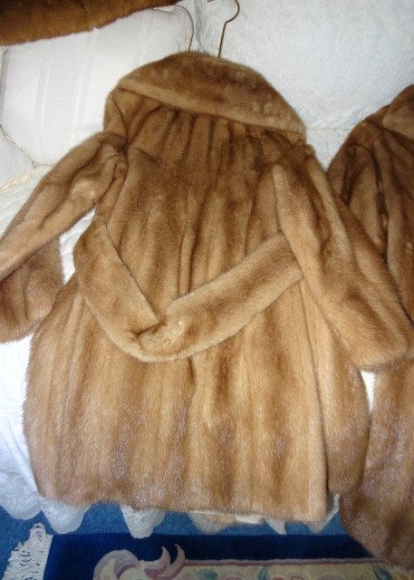 Lady's Fur Coat (1 of 4)