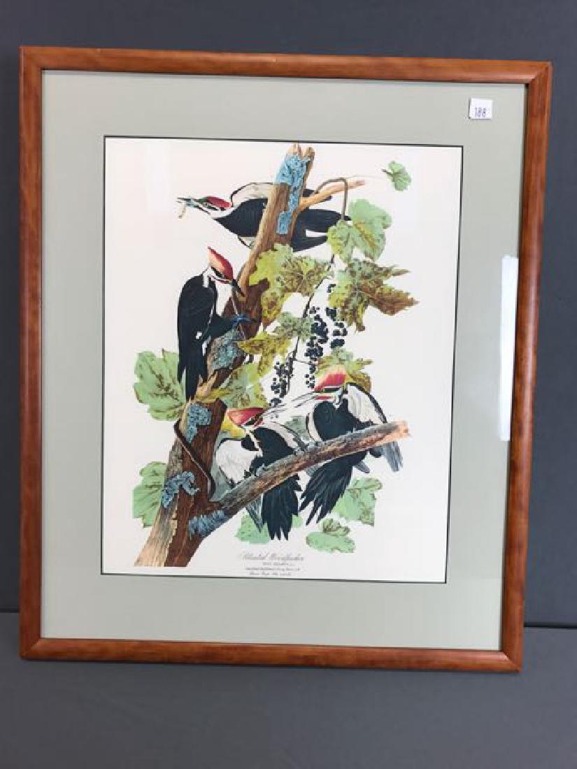 2 Framed Color Prints (1 of 4)