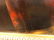 Large Modern Oil on Canvas - 5