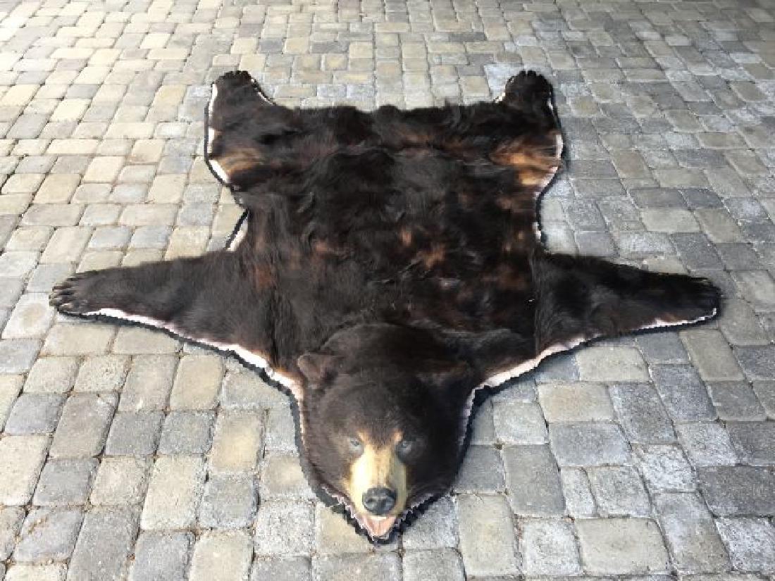 Vancouver Black Bear Rug: Vancouver Black Bear Rug, 68" from nose to tail, 70.5" from paw to paw