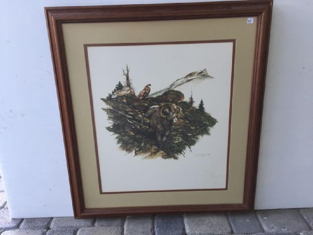 Print of Big Horn Sheep: Print of Big Horn Sheep, with a raise Swarovski Optik seal, 30" x 27" includes frame, pencil signed in the margin, 1982