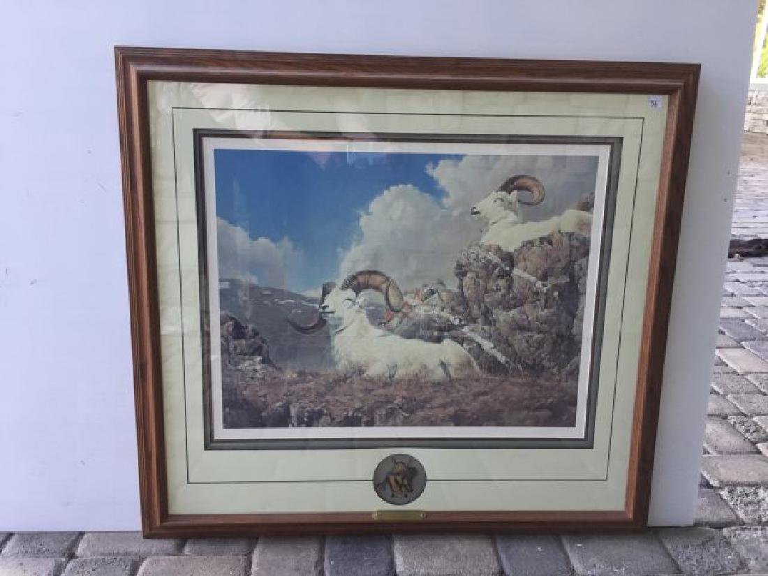 Print of Dall Sheep: 31" x 33" includes frame, titled â€œPrimrose Ridge" by Nancy Glazier, raised Lion and African Shield Logo (Safari Club), 308/1500, Wild Wings Collection