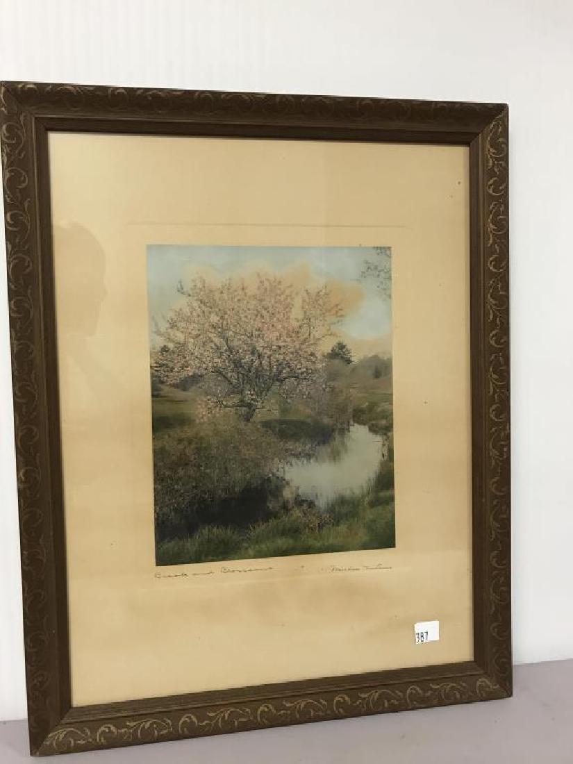 Brook and Blossoms Wallace Nutting exterior (1 of 3)