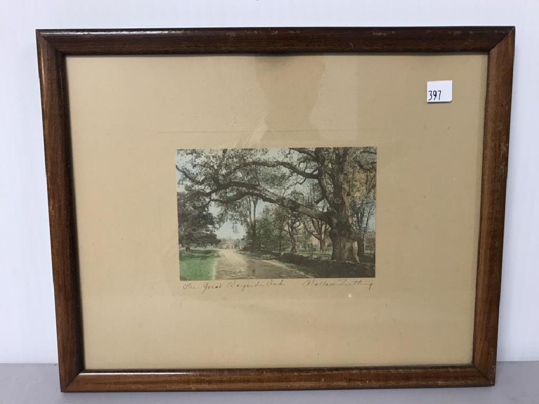 The great Wayside Oak Wallace Nutting exterior: size of the print is 6.5 X 4.5 inches. There is a white spot underneath the T in nutting.