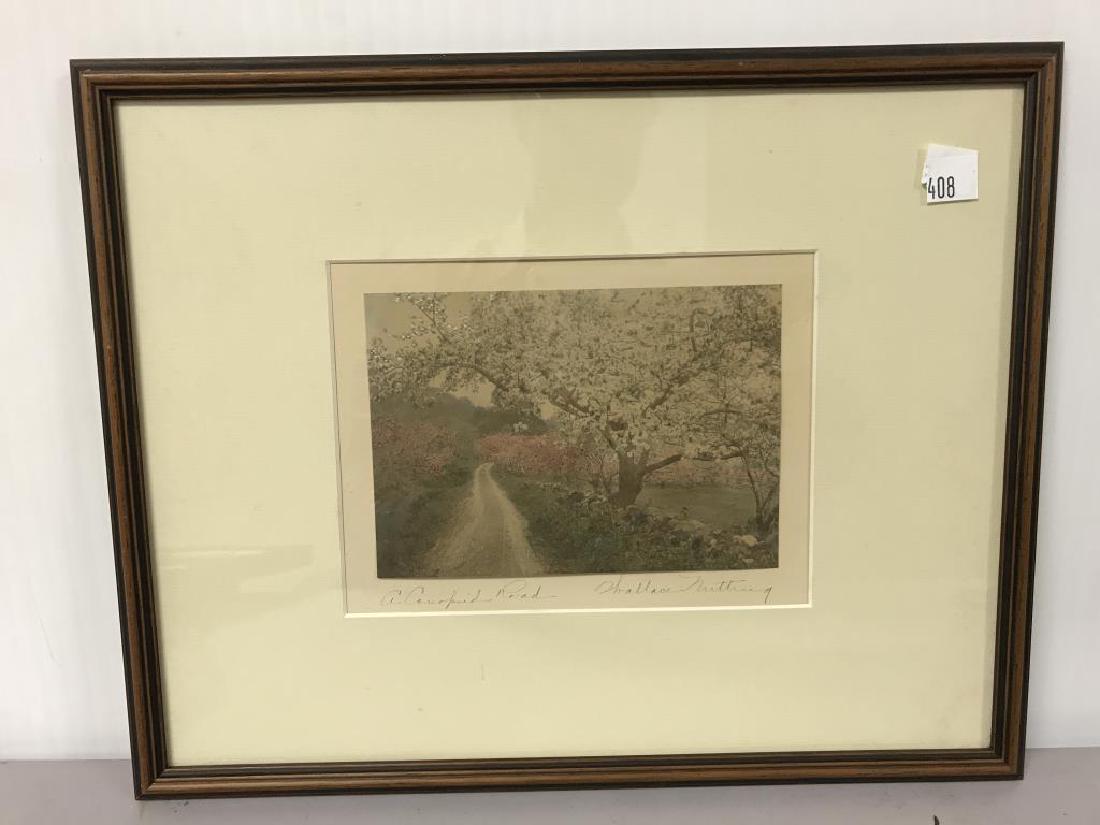 A canopied road Wallace Nutting exterior (1 of 3)