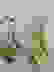 item-67202029=2