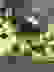 item-67202029=3