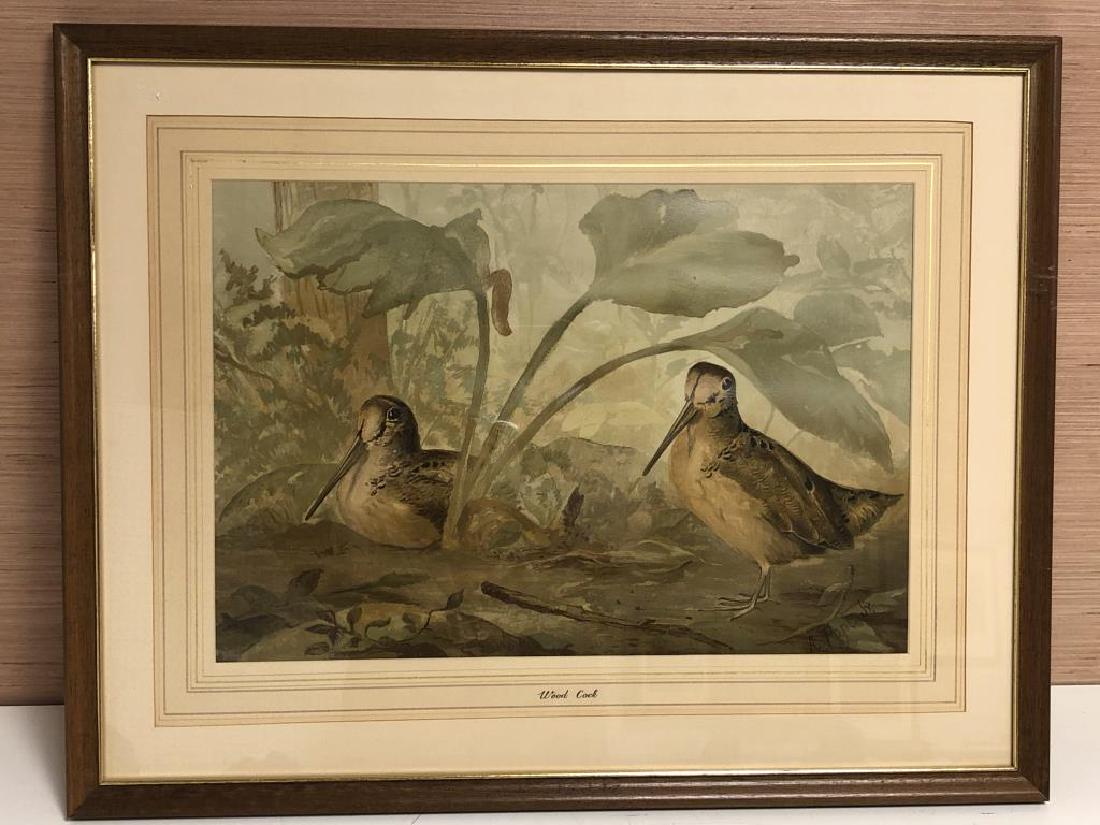 "Wood Cock" by Alexander Pope, Jr. (1 of 6)