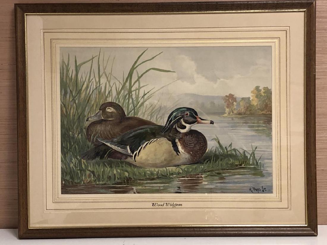 "Wood Widgeon" by Alexander Pope, Jr. (1 of 6)