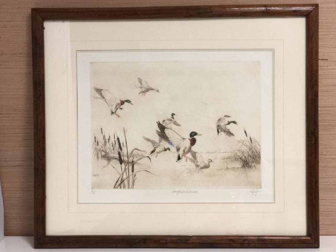 "Down from Canada (Mallards)" print by Sandy Scott (1 of 7)