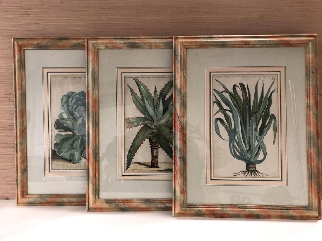 Vintage Botanical Prints (1 of 13)