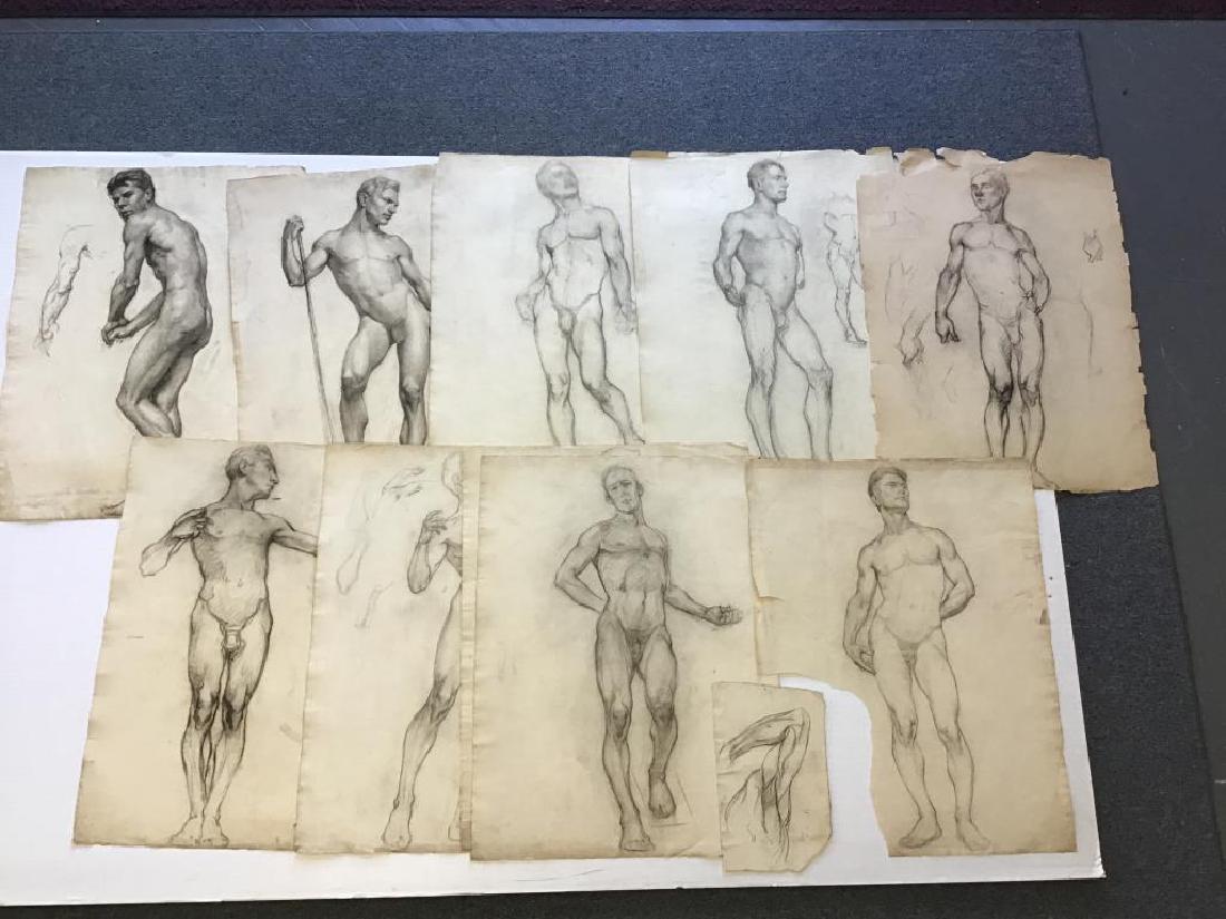 Nude Sketches from Studio of Ben Marcune: Lot of 14 nude sketches of the male form, from the Riegelsville Studio of Ben Marcune, unsigned, paper is about 24 inches by 19 inches.