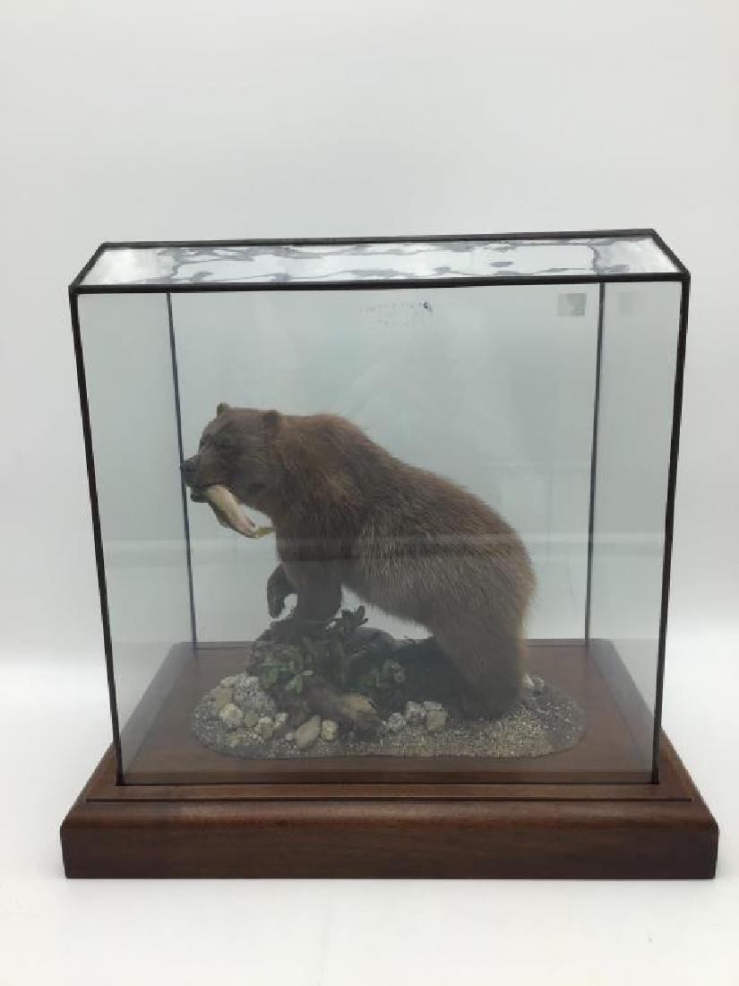 Fishing GRIZZ by George Schwann (1 of 7)