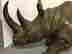 item-72414229=4