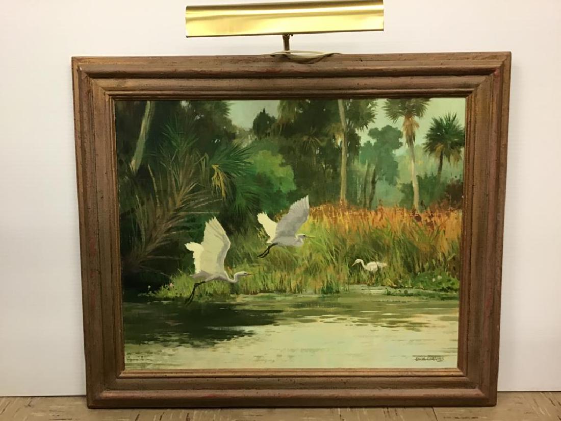 "Egrets, Crystal River" by Jack Coggins (1 of 8)