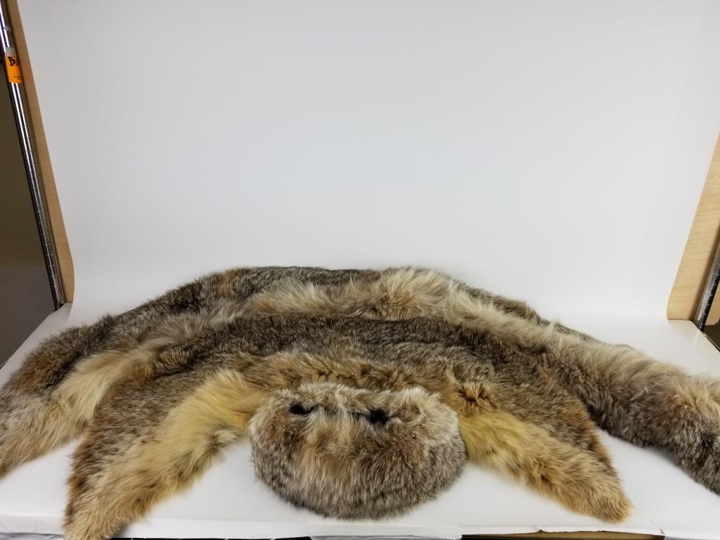 3 vintage coyote fur stoles and fur hat: 3 coyote fur stoles/collars. Coyote fur ladies hat. Longest is 45 inches long.