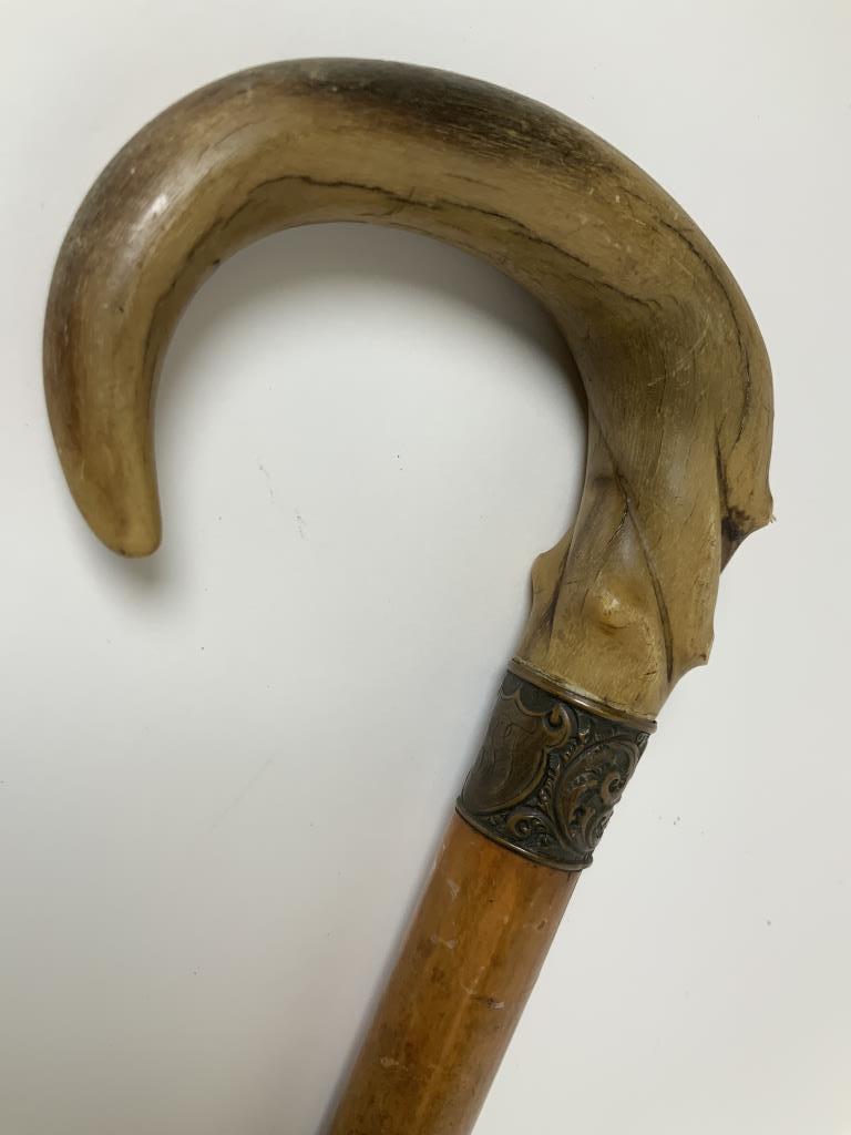 Carved horn handle cane/ walking stick engraved: engraved initials in brass band, wooden cane, carved horn hand, Handle is 4 inches long, cane is 36 inches in length