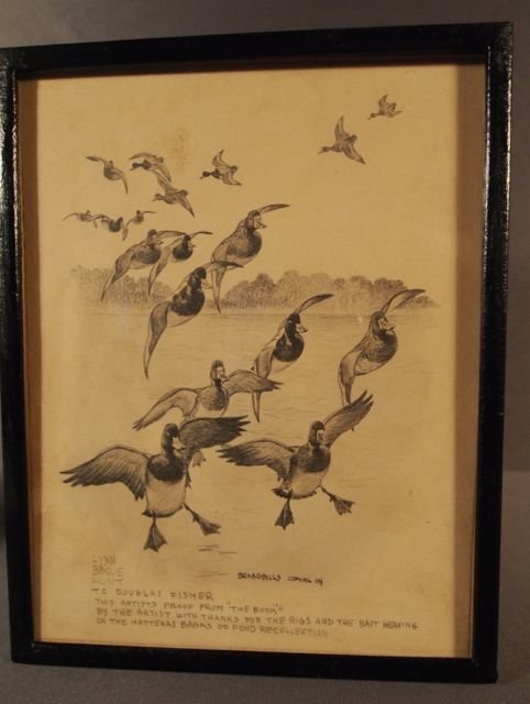 Lynn Bogue Hunt Pencil Drawing.: Lynn Bogue Hunt, pencil drawing to Douglas Fisher. "Broadbills Coming In," artist proof from "The Book," 9" x 7."