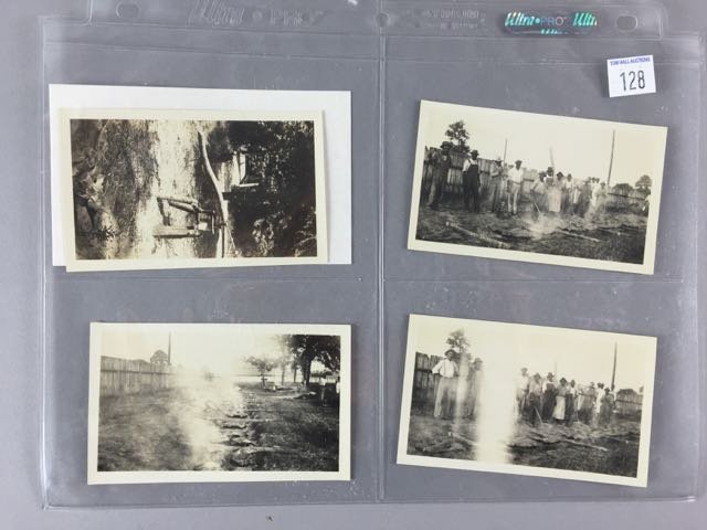 3 Photos Roasting Alligators (1 of 6)