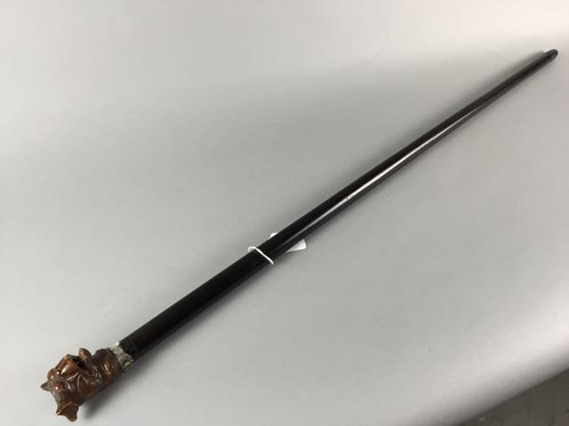 Walking stick (1 of 5)