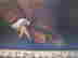 item-54194680=3